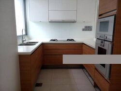 Suites @ Cairnhill (D9), Apartment #292994801